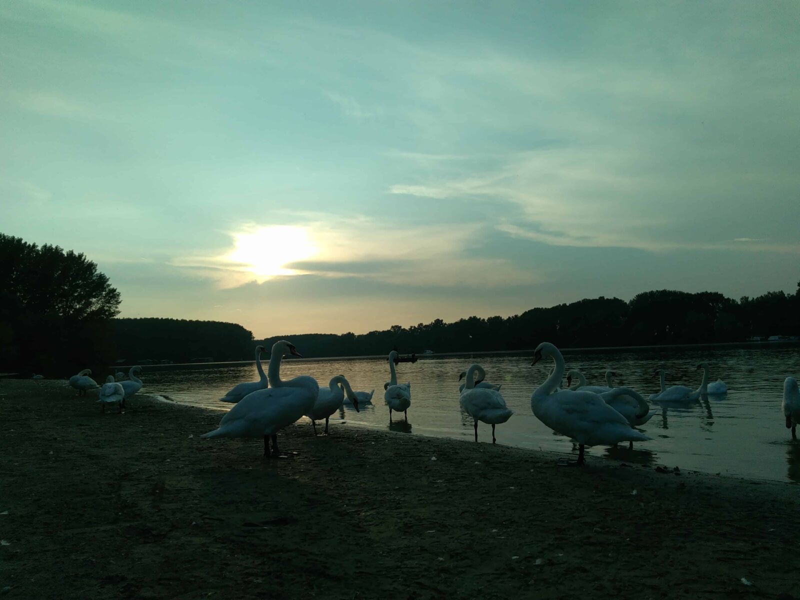 Lenovo S60-A sample photo. Lake, water, shore, lakeside photography