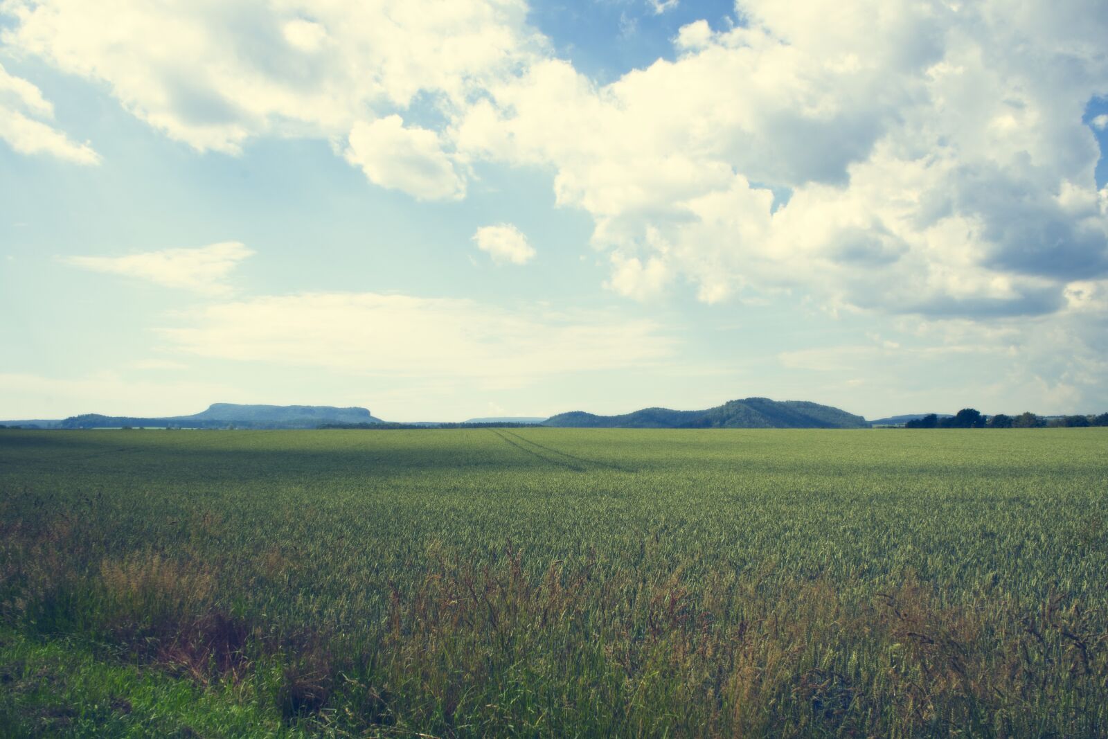 Sony FE 28-70mm F3.5-5.6 OSS sample photo. Sky, clouds, meadow photography
