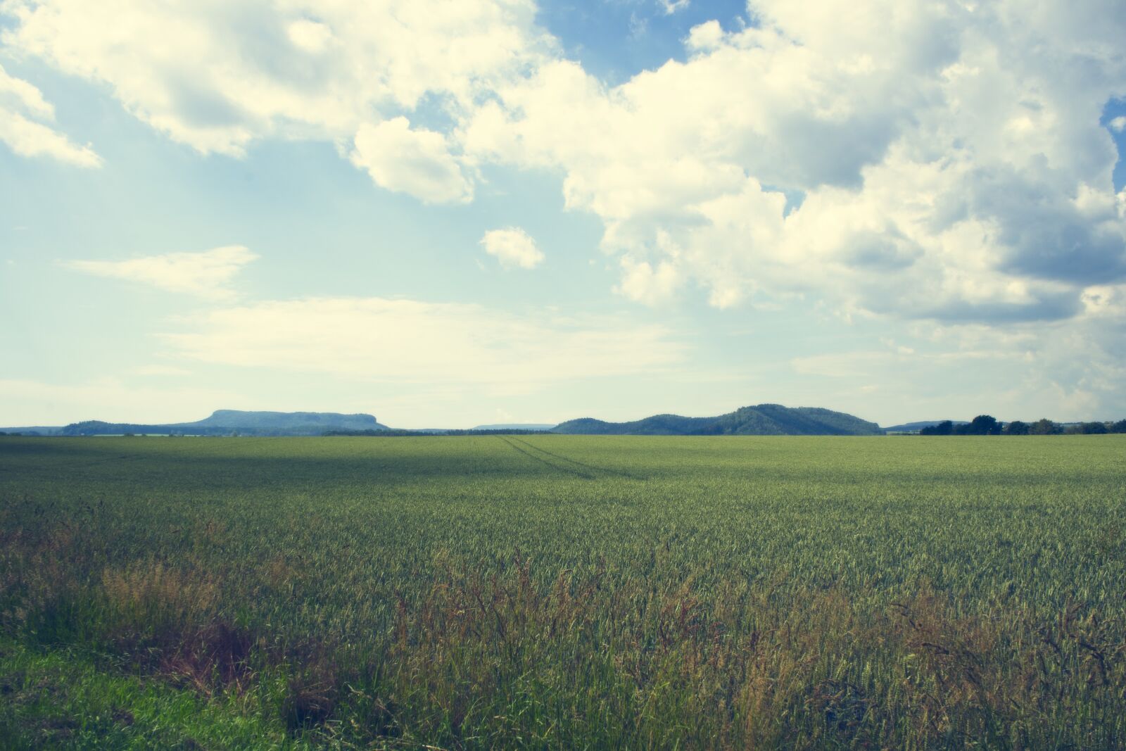 Sony a7 sample photo. Sky, clouds, meadow photography