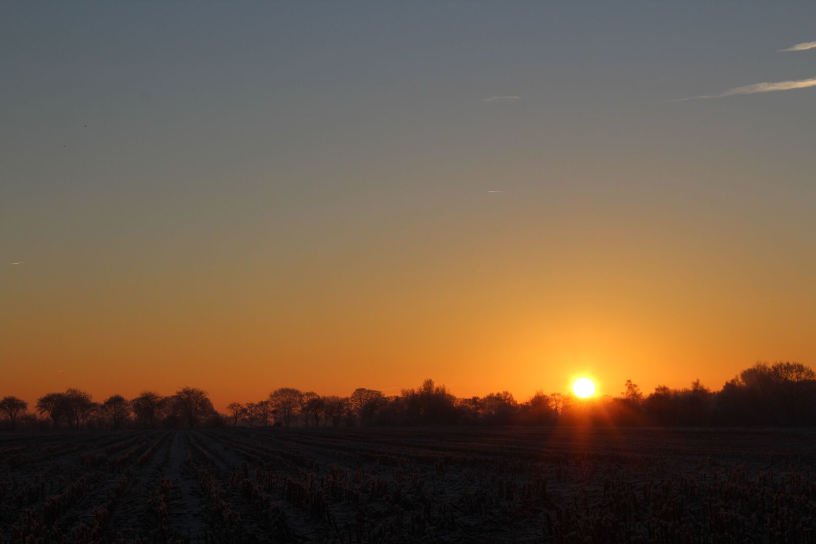 Canon EOS 1200D (EOS Rebel T5 / EOS Kiss X70 / EOS Hi) sample photo. Sunrise, winter, cold photography