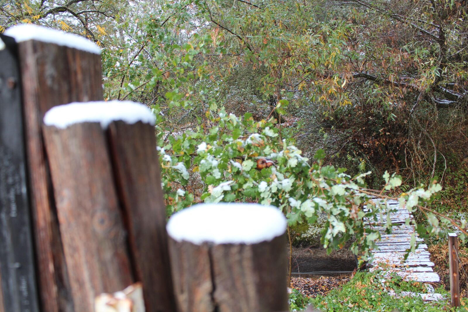 Canon EOS 600D (Rebel EOS T3i / EOS Kiss X5) sample photo. Snow, bridge, grandpa's photography
