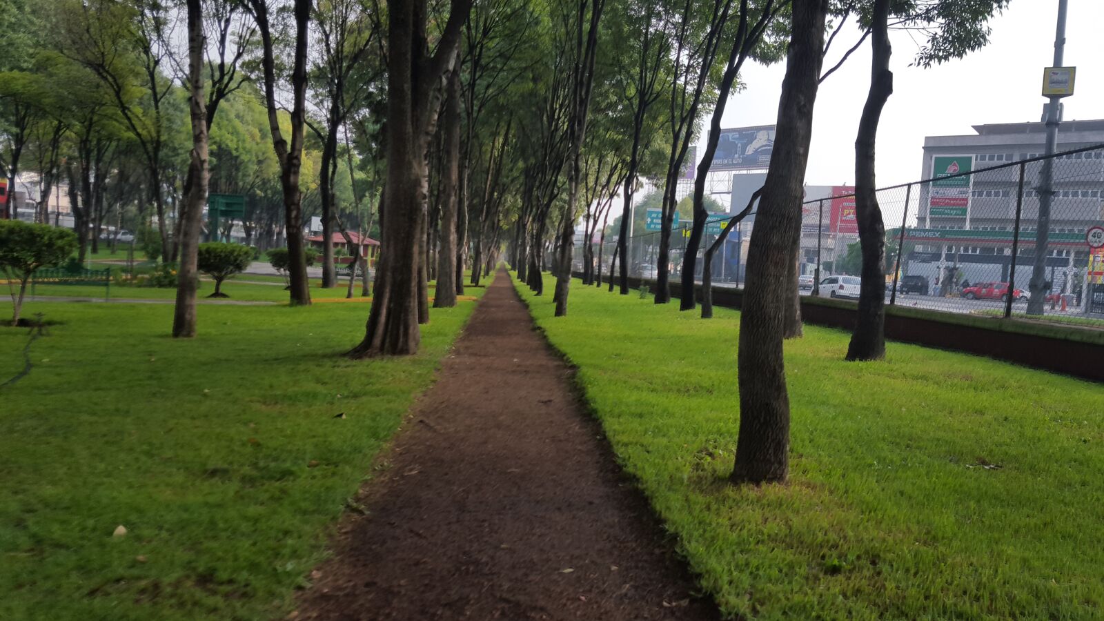 Samsung Galaxy S6 sample photo. Trail, path photography