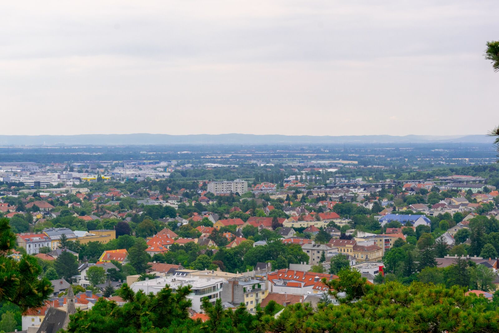 Nikon D3300 sample photo. City, top look, austria photography