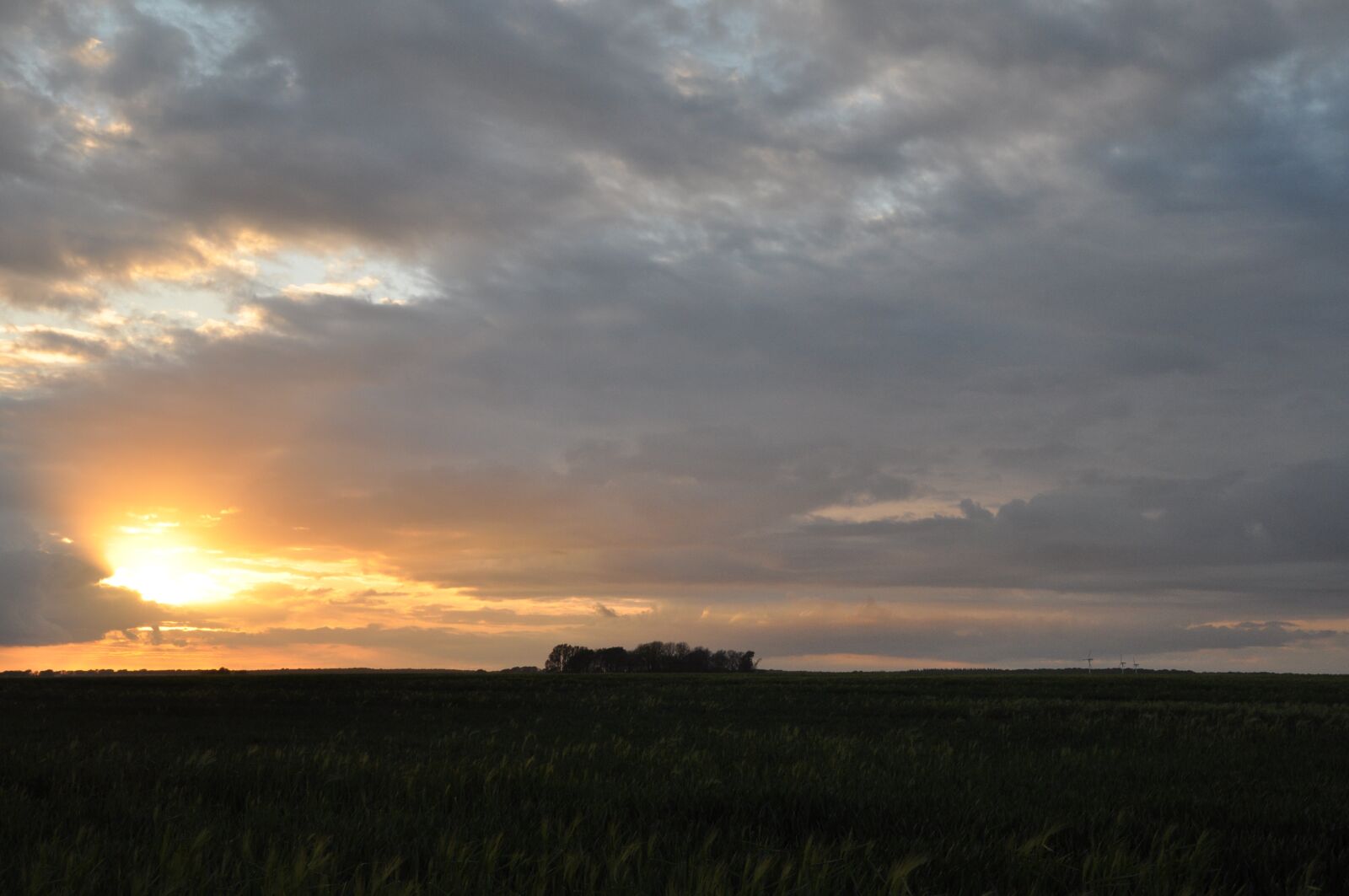 Nikon D90 sample photo. Nature, abendstimmung, sunset photography