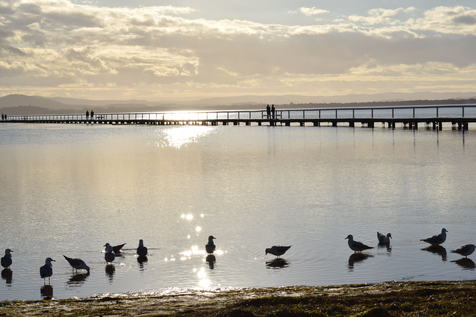 Nikon AF-P DX Nikkor 18-55mm F3.5-5.6G sample photo. Long, jetty, wharf photography