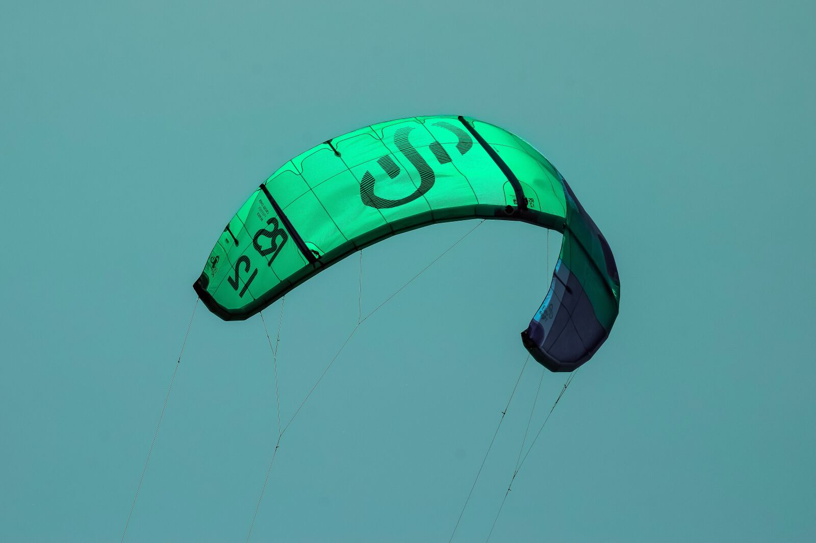 Nikon D3300 sample photo. Kite, wind, sky photography