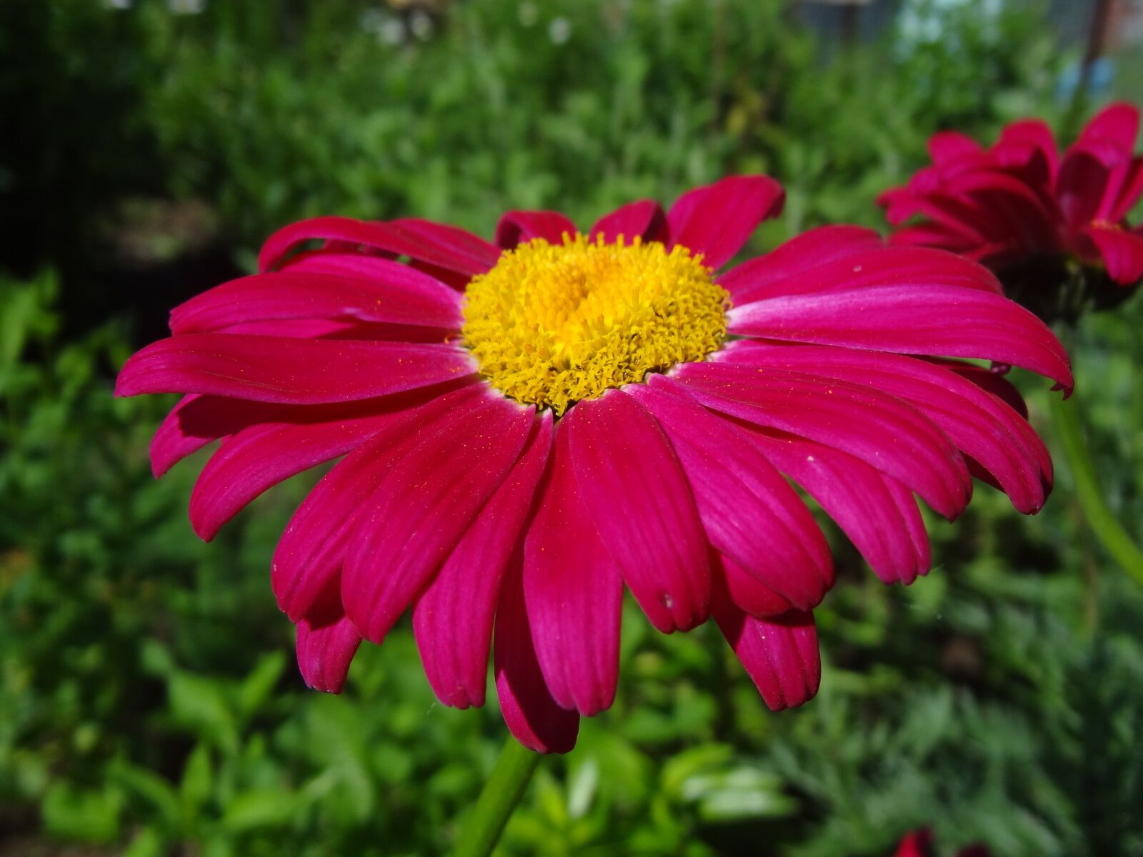 Sony Cyber-shot DSC-HX9V sample photo. Nature, sky, sun photography