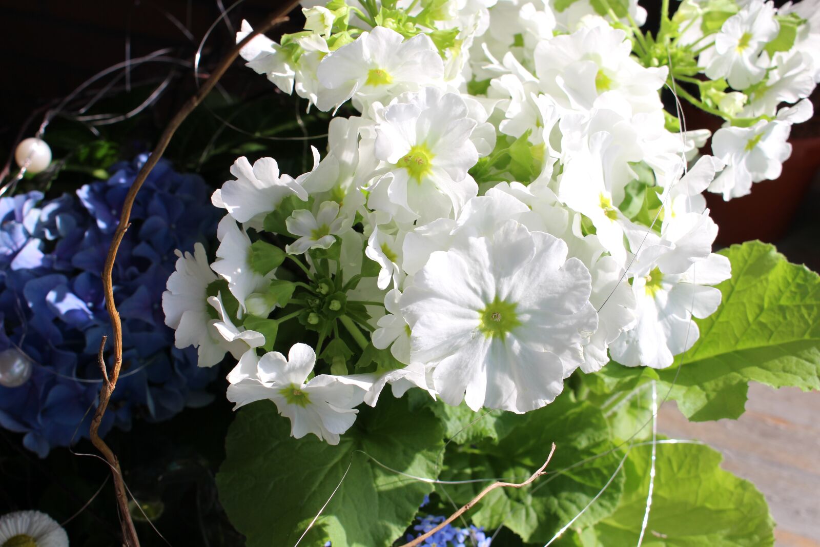 Canon EOS 700D (EOS Rebel T5i / EOS Kiss X7i) sample photo. Flowers, deco, arrangement photography