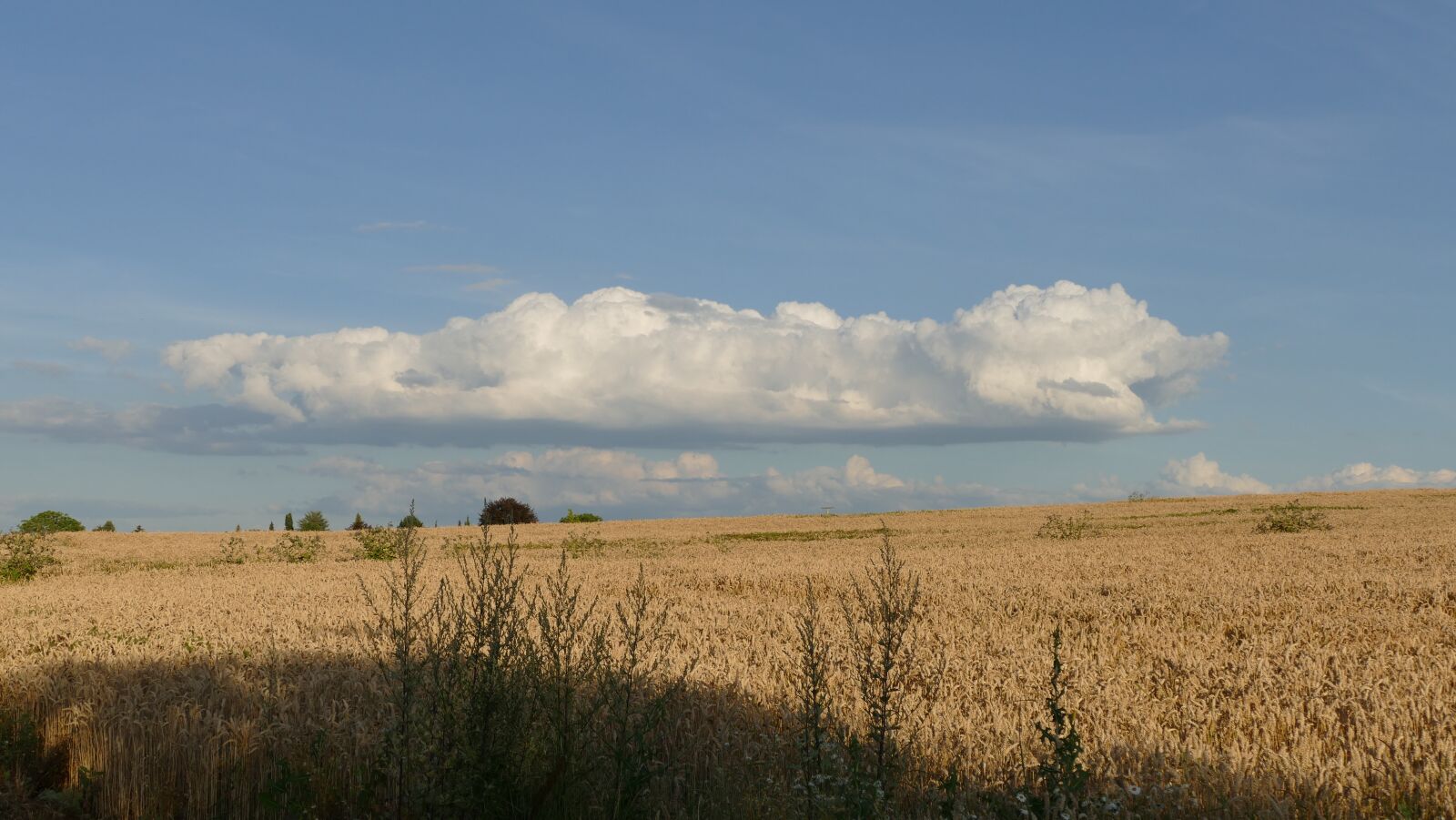 Panasonic Lumix DMC-FZ1000 sample photo. Sun, nature, landscape photography