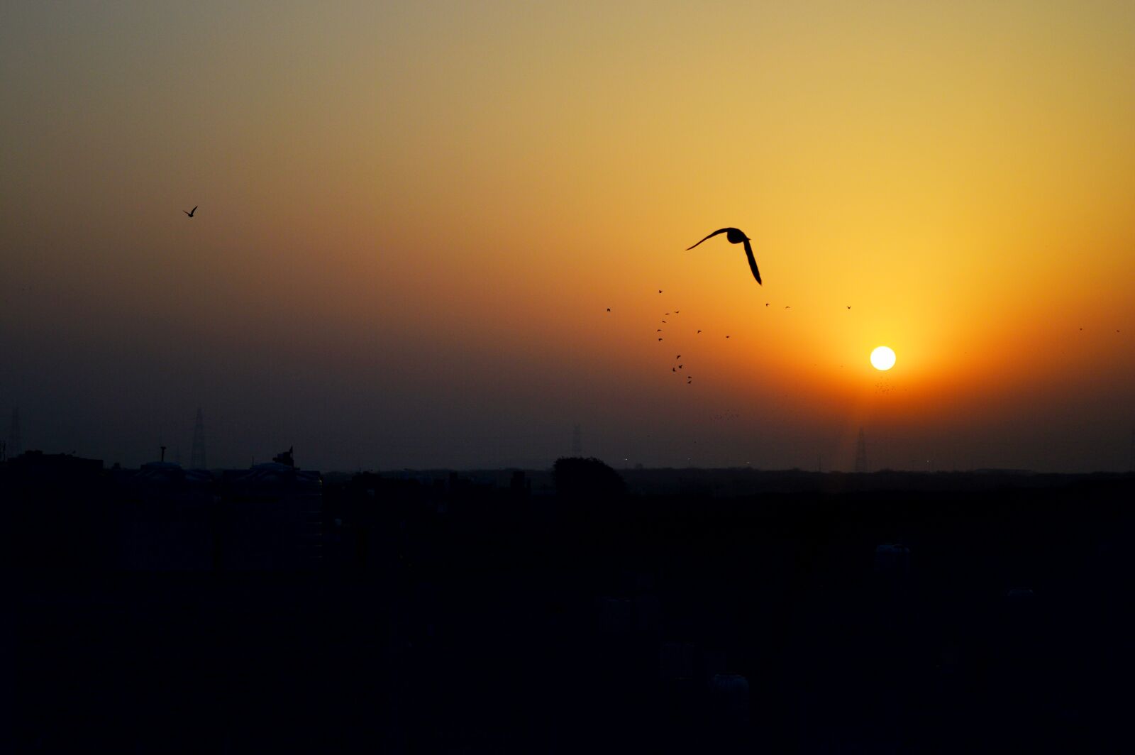 Nikon D3200 sample photo. Landscape, chirping birds, colours photography