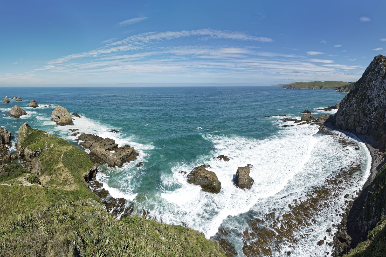 Nikon D500 sample photo. New zealand, roaring bay photography