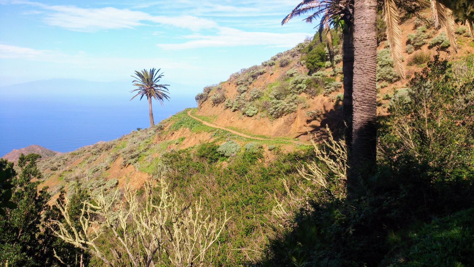 Sony Xperia V sample photo. Palm, sea, away photography