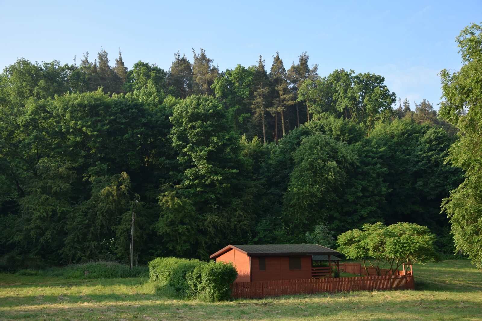 Nikon D5300 sample photo. Hut, forest, nature photography