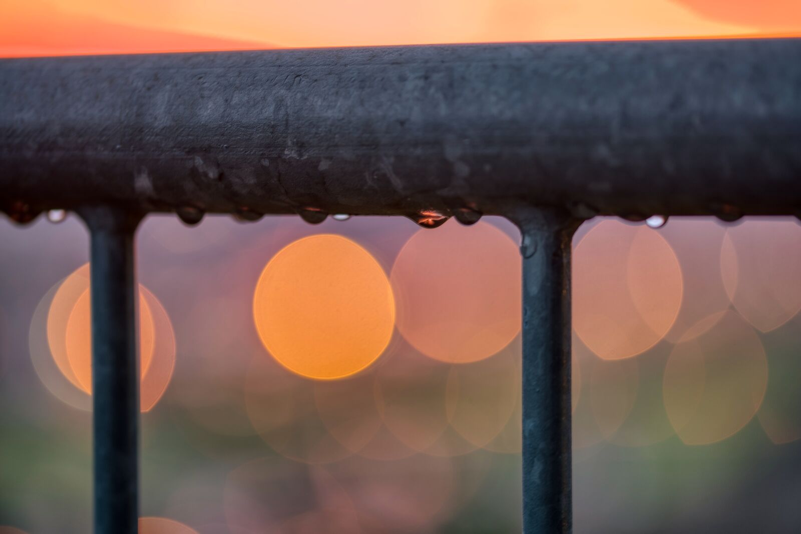 Nikon D750 sample photo. Railing, wet, raindrop photography