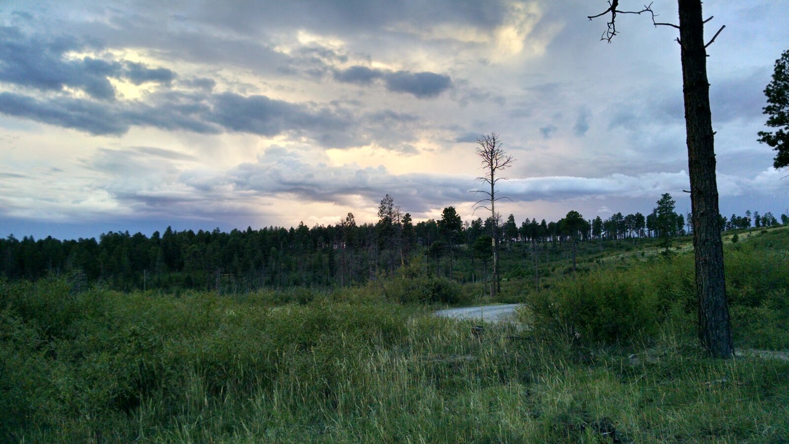 Motorola XT1080 sample photo