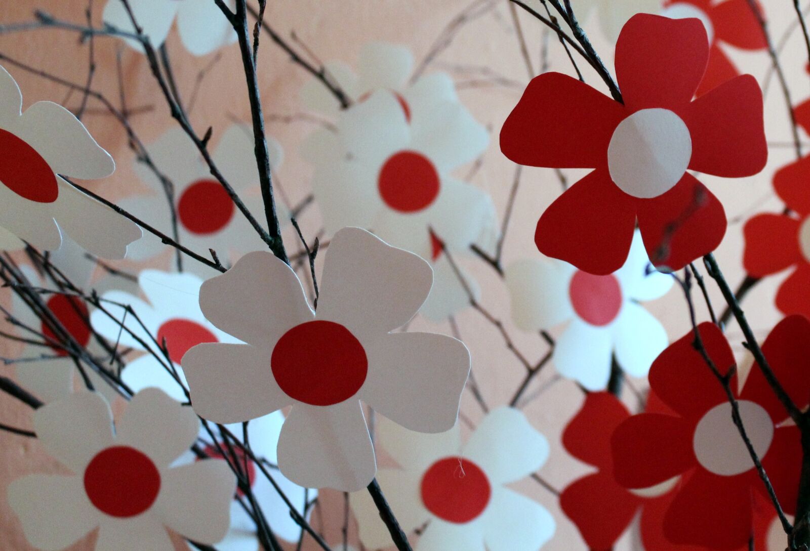 Canon EOS 1200D (EOS Rebel T5 / EOS Kiss X70 / EOS Hi) sample photo. White-red, 11 nov, decoration photography