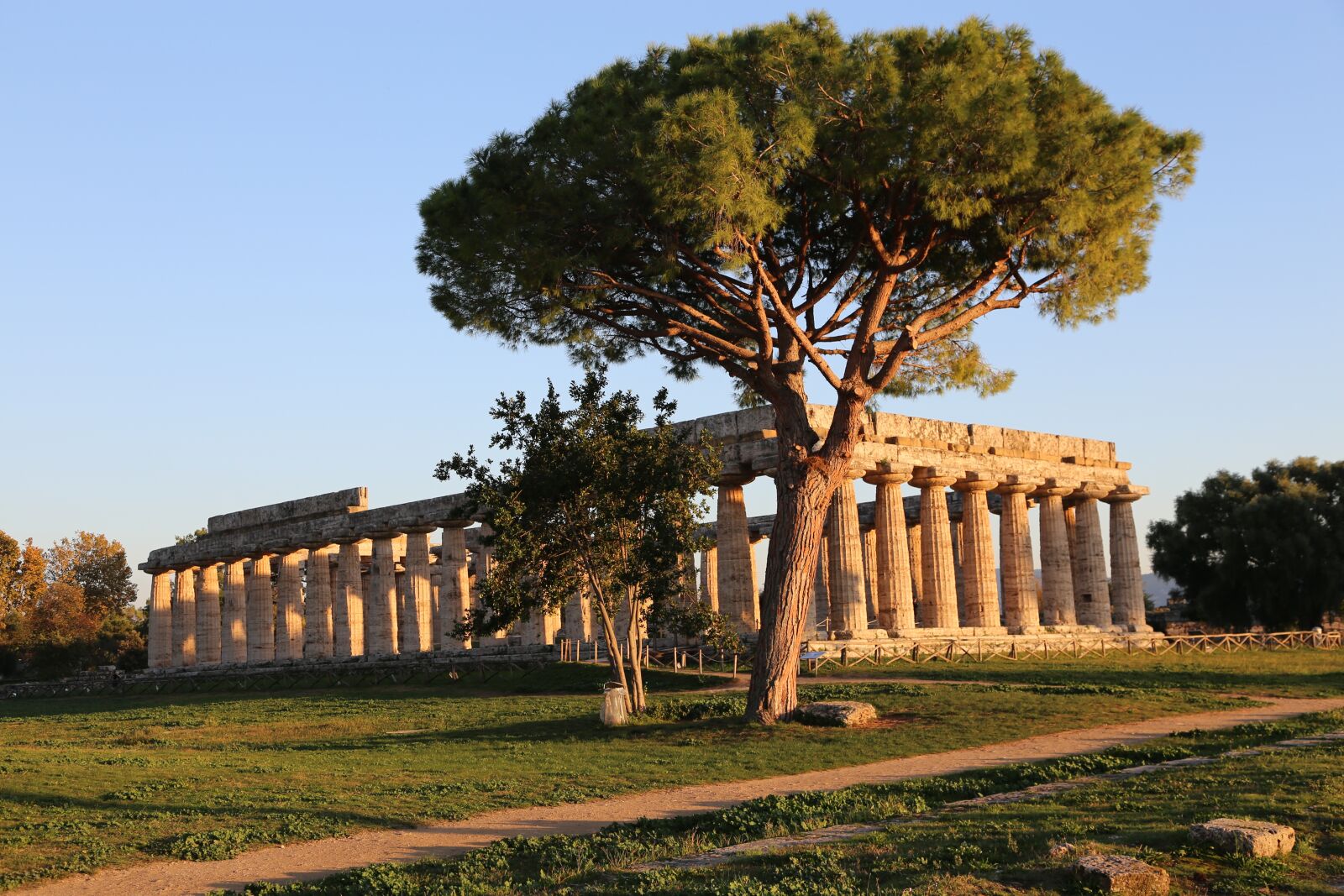 Canon EOS 6D + Canon EF 24-105mm F4L IS USM sample photo. Places of interest, paestum photography