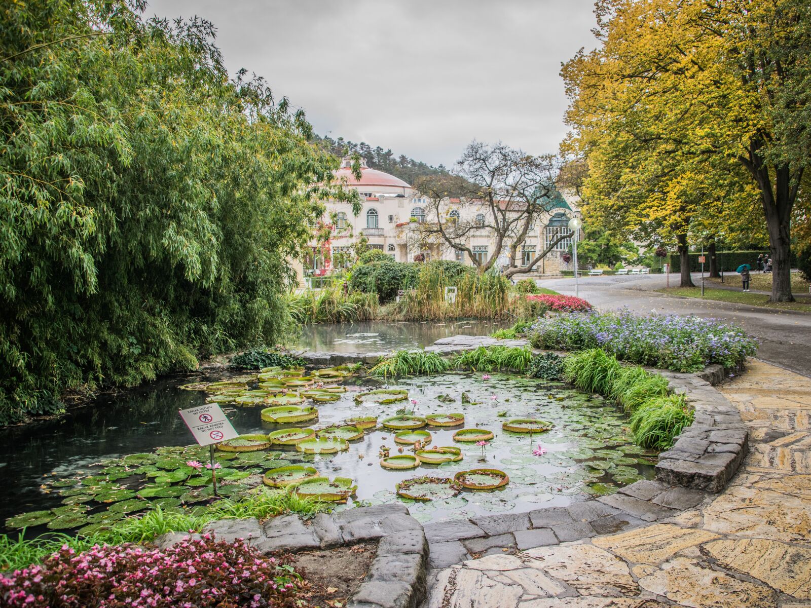 Nikon D5300 sample photo. Victoria, royal, waterlilies photography