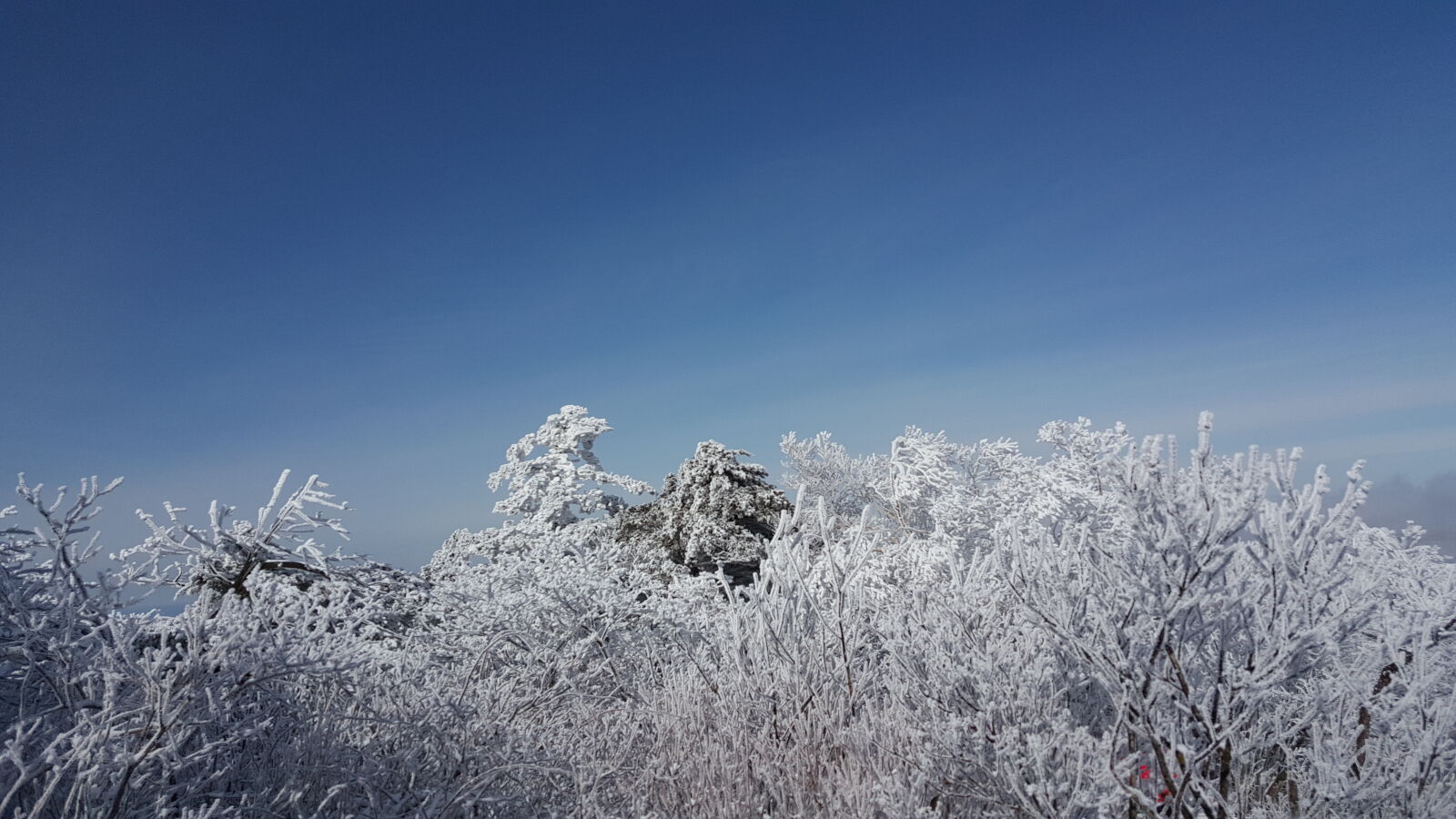 Samsung Galaxy Note5 sample photo. Korea, mountain, taebaeksan, winter photography