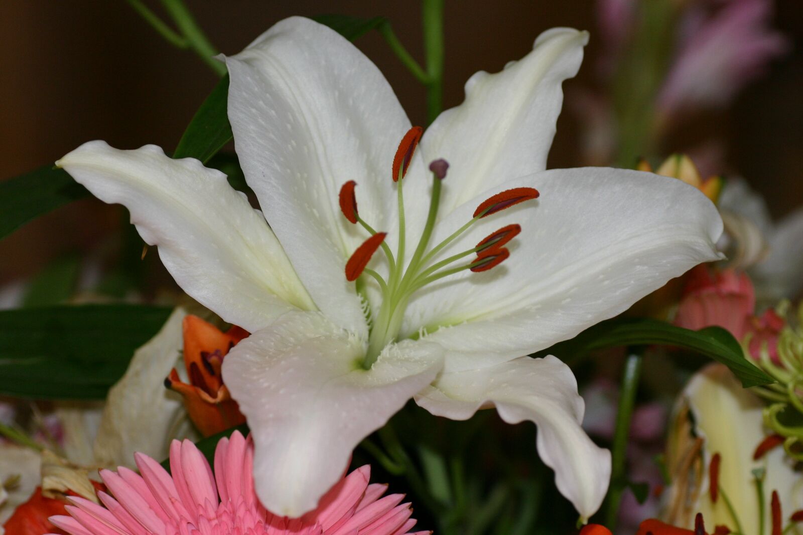 Canon EOS 300D (EOS Digital Rebel / EOS Kiss Digital) sample photo. Flowers, bouquet, close up photography