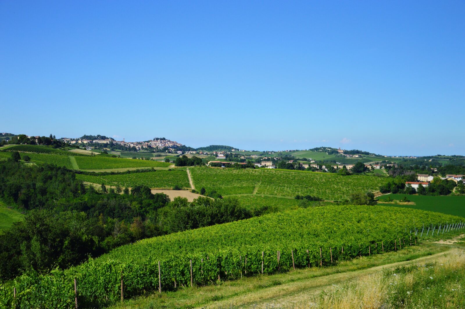 Nikon D3200 sample photo. Ottiglio, prato, field photography