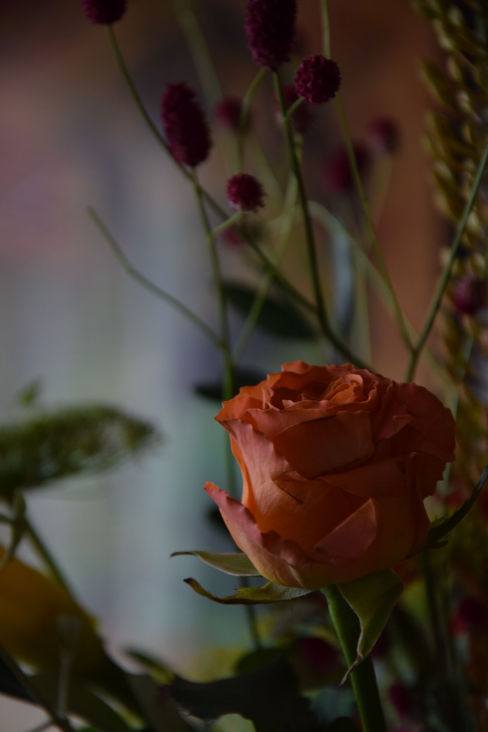 Nikon D3300 sample photo. Bouquet, flower, rose photography