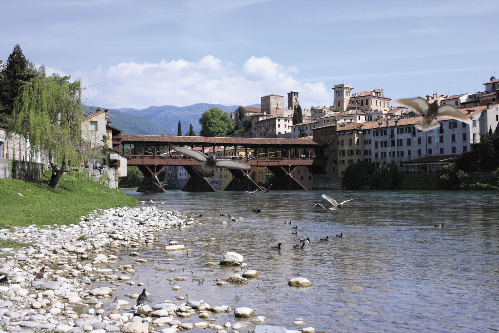 Canon EOS 400D (EOS Digital Rebel XTi / EOS Kiss Digital X) sample photo. Bassano del grappa, bridge photography