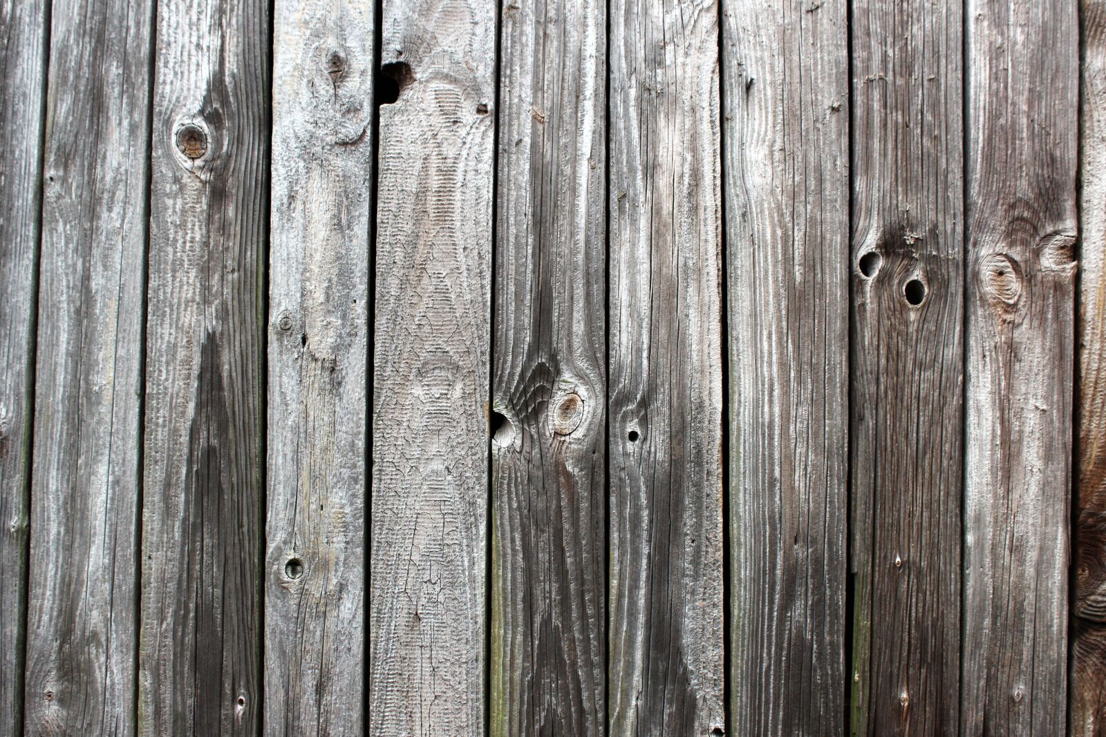 Canon EOS 1300D (EOS Rebel T6 / EOS Kiss X80) sample photo. Wood, woods, old photography