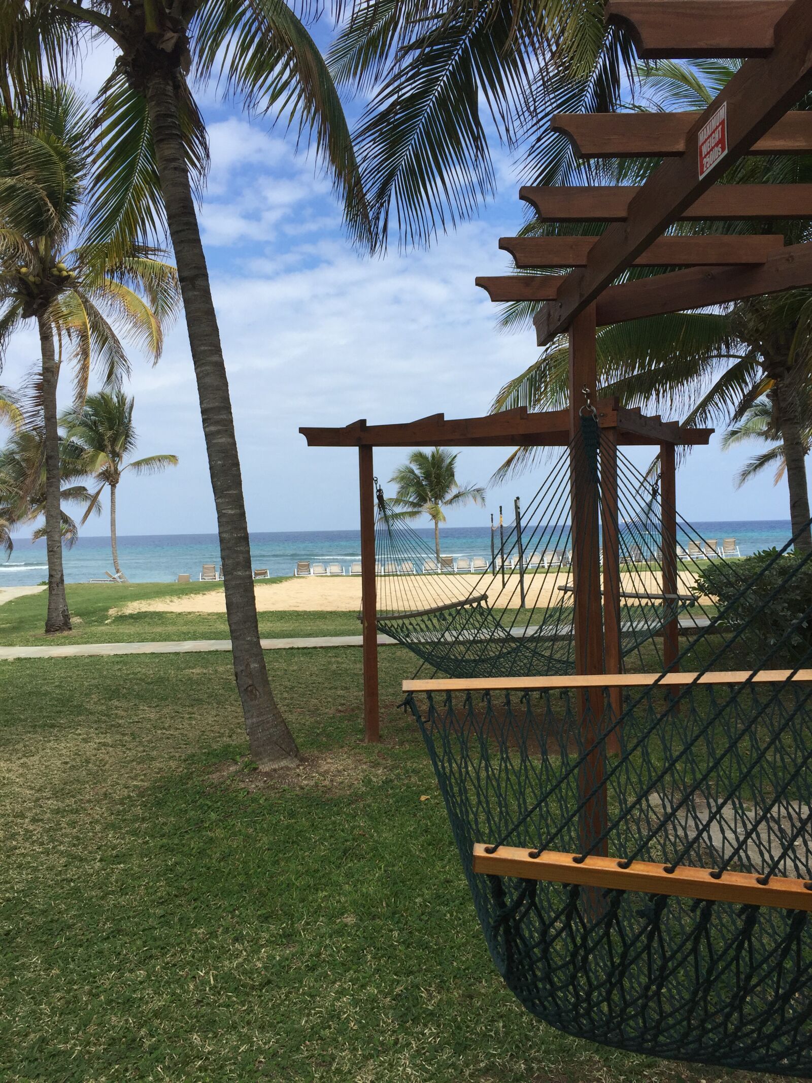 Apple iPhone 6 sample photo. Hammock, relax, relaxation photography