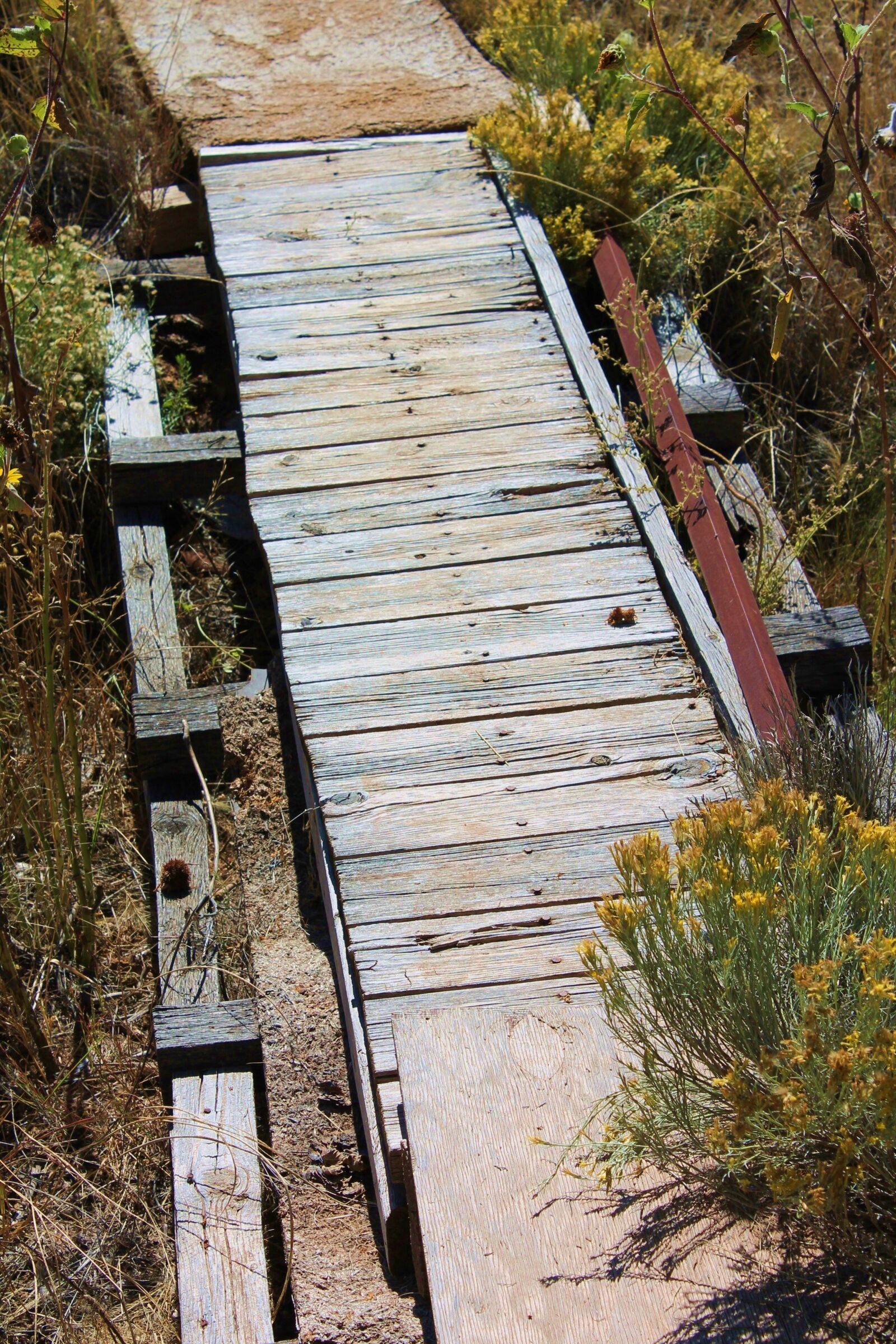 Canon EOS 1100D (EOS Rebel T3 / EOS Kiss X50) sample photo. Walking bridge, wooden, path photography