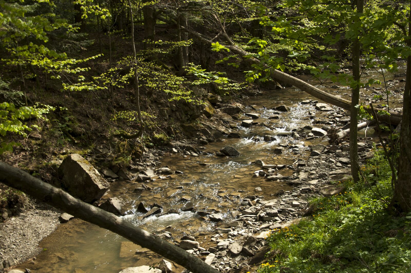 Nikon D90 sample photo. River, nature, bieszczady photography