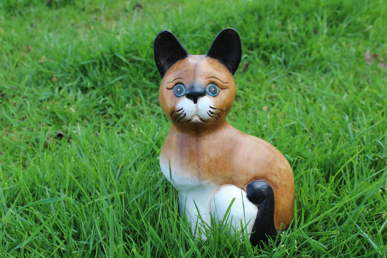 Canon EOS 1300D (EOS Rebel T6 / EOS Kiss X80) sample photo. Cat, figure, wood photography