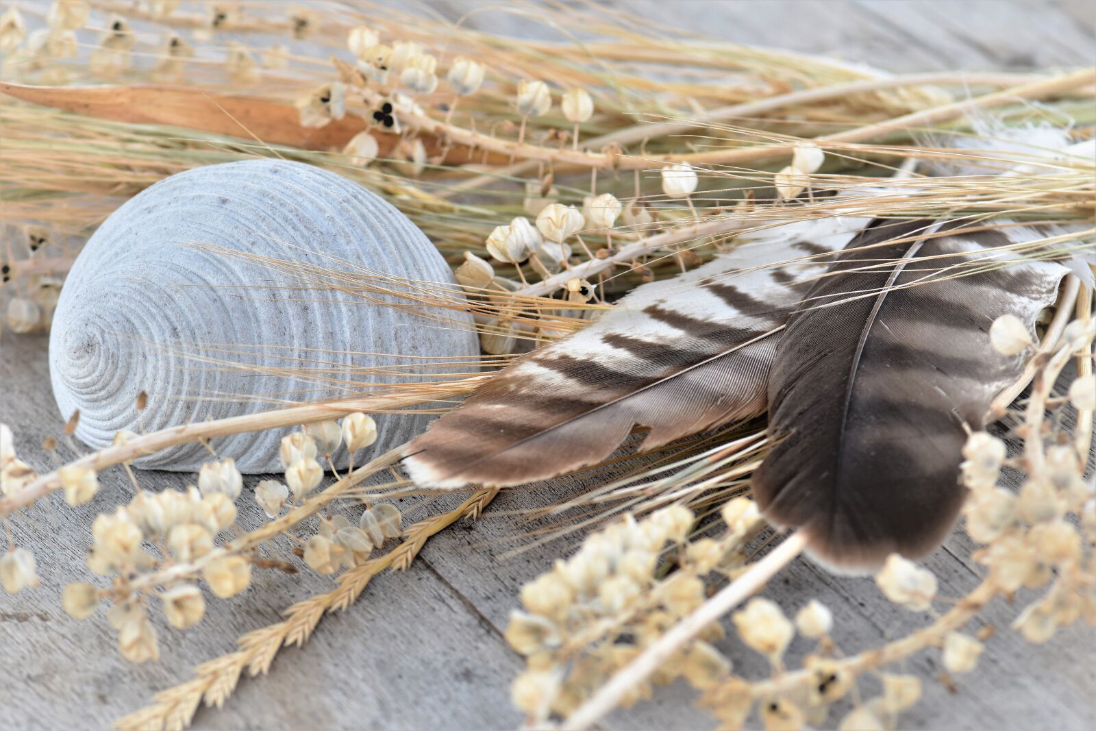 Nikon D5500 sample photo. Deco, decoration, table decorations photography
