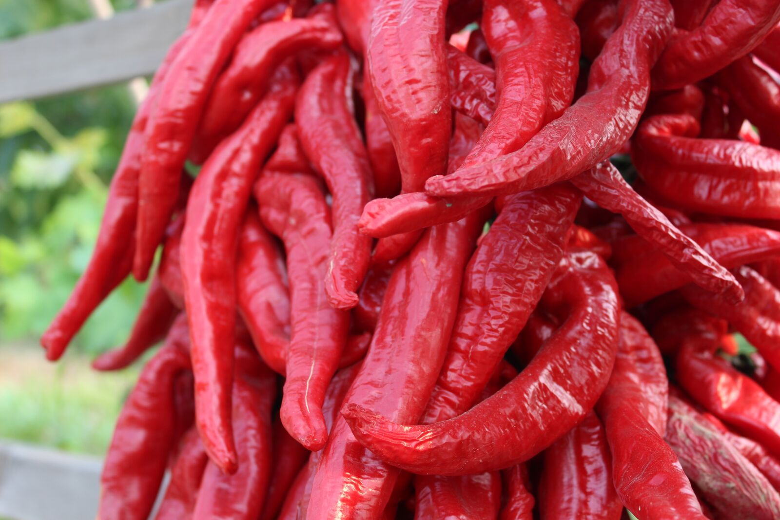 Canon EOS 600D (Rebel EOS T3i / EOS Kiss X5) sample photo. Red pepper, red, gain photography