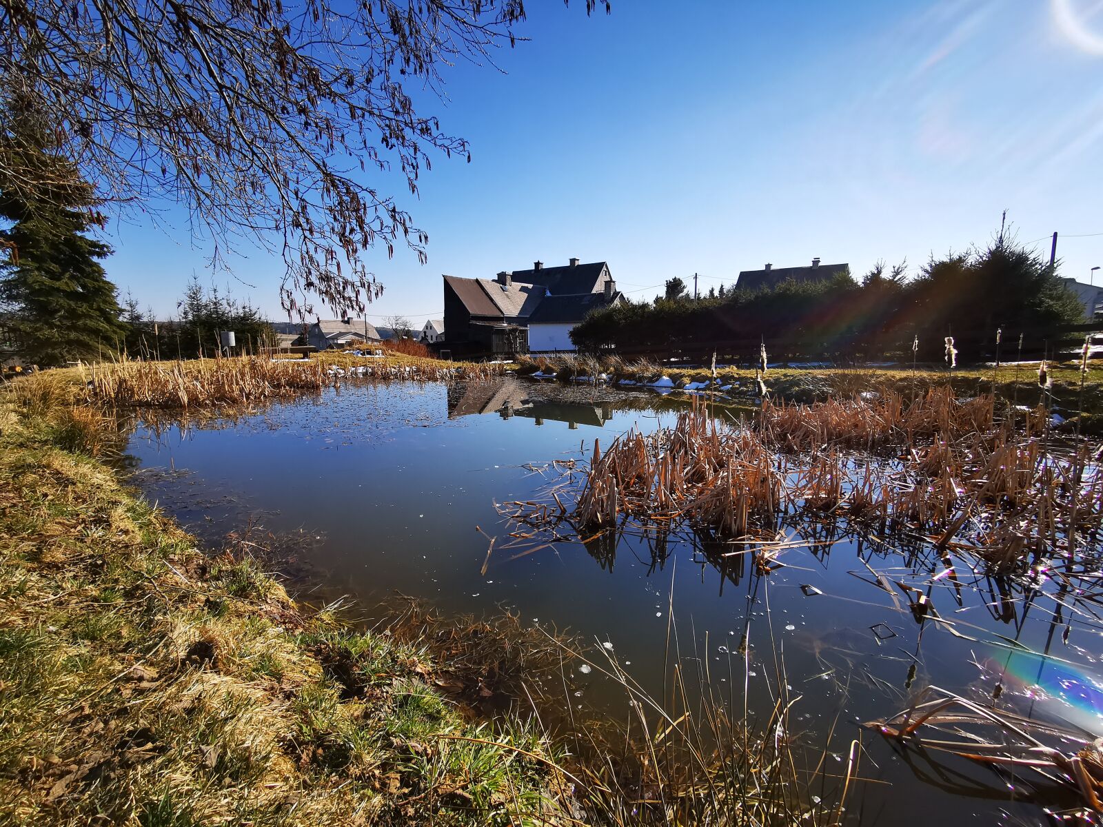 HUAWEI P30 Pro sample photo. Pond, deutscheinsiedel, spring photography