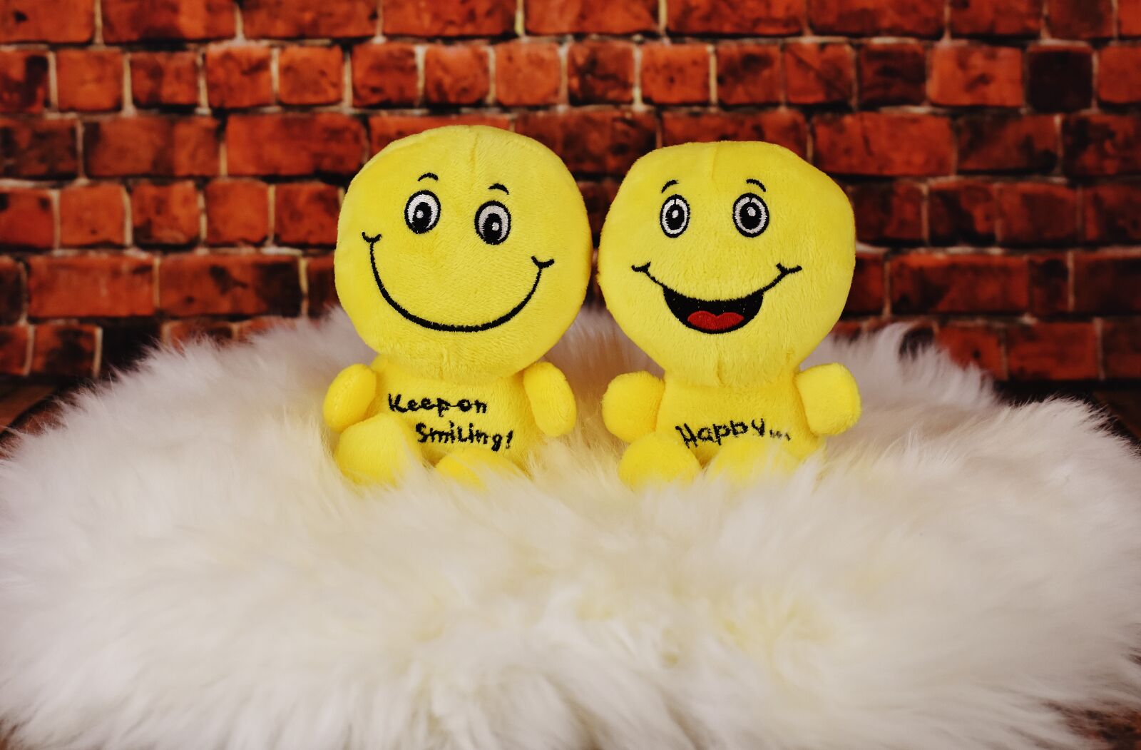 Nikon D7200 sample photo. Smilies, plush toys, cute photography
