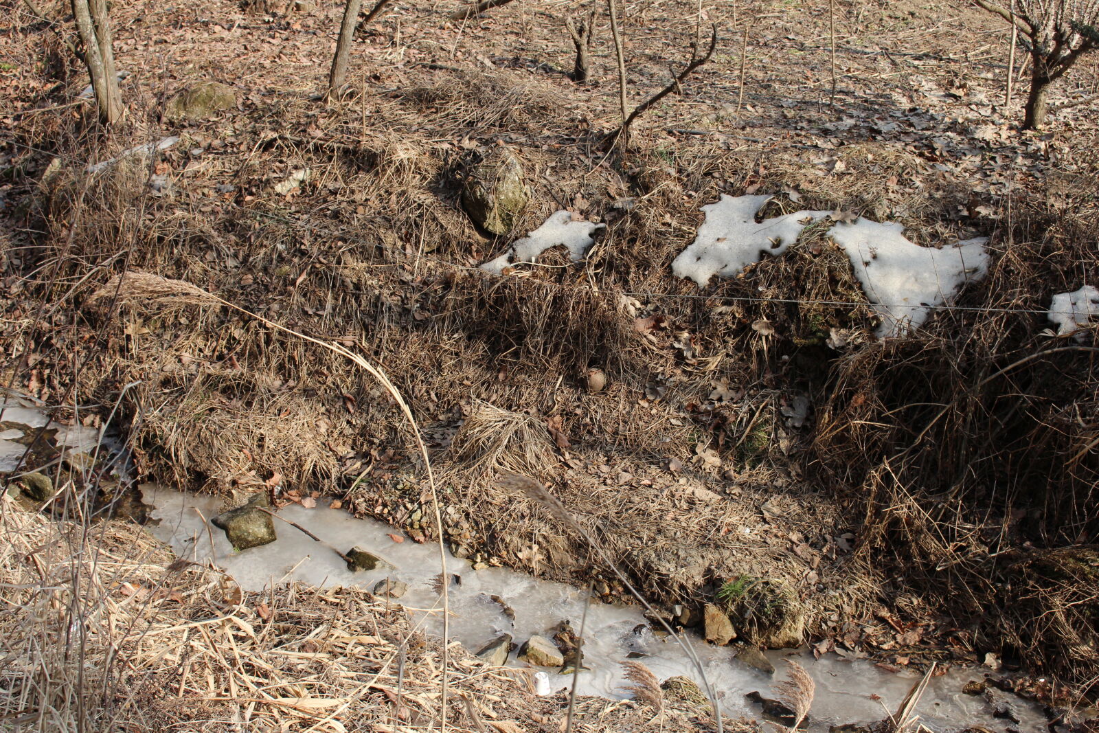Canon EOS 700D (EOS Rebel T5i / EOS Kiss X7i) sample photo. Frozen, river, korea, winter photography