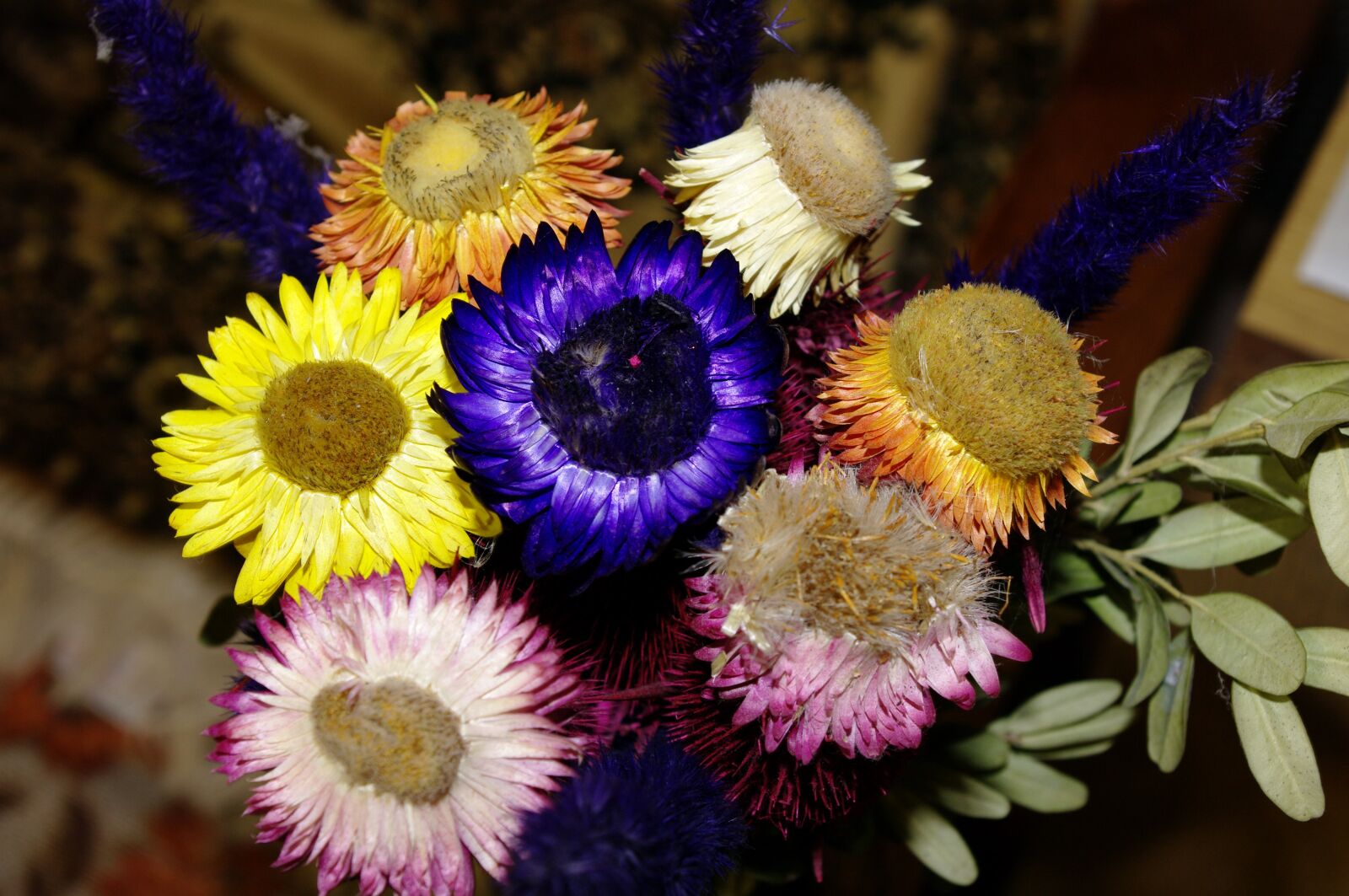 Samsung GX-20 sample photo. Flower, plant, petal photography