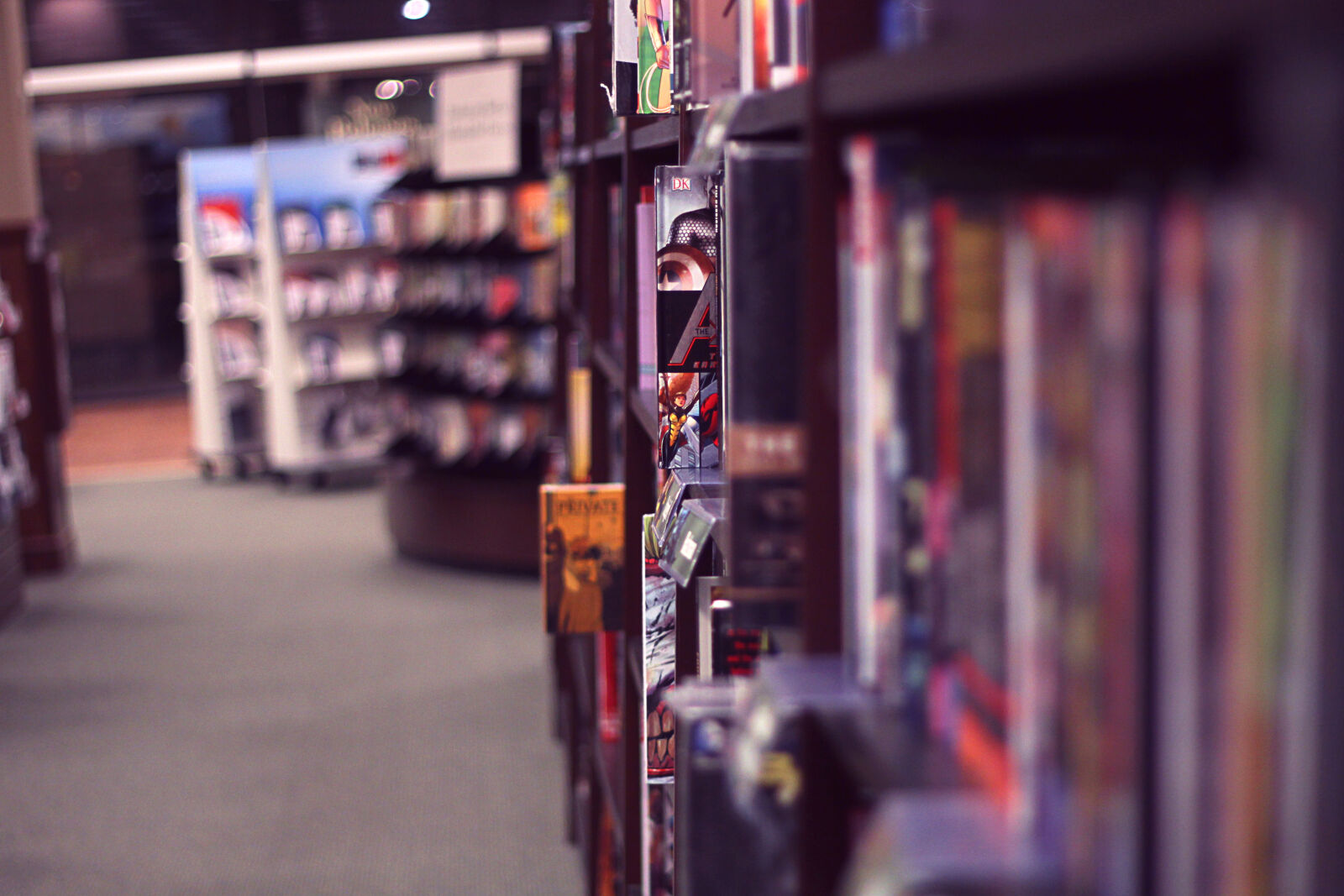 Canon EOS 550D (EOS Rebel T2i / EOS Kiss X4) sample photo. Blur, books, close, up photography