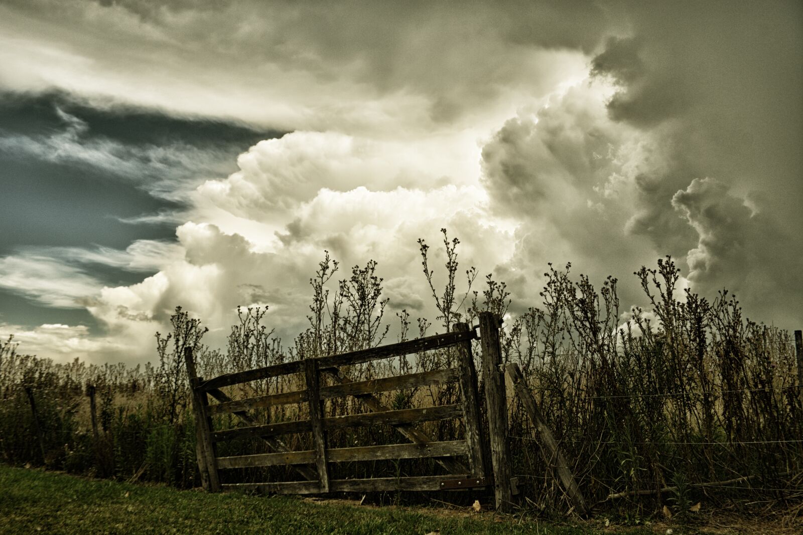 Nikon D5200 sample photo. Gate, clouds, field photography