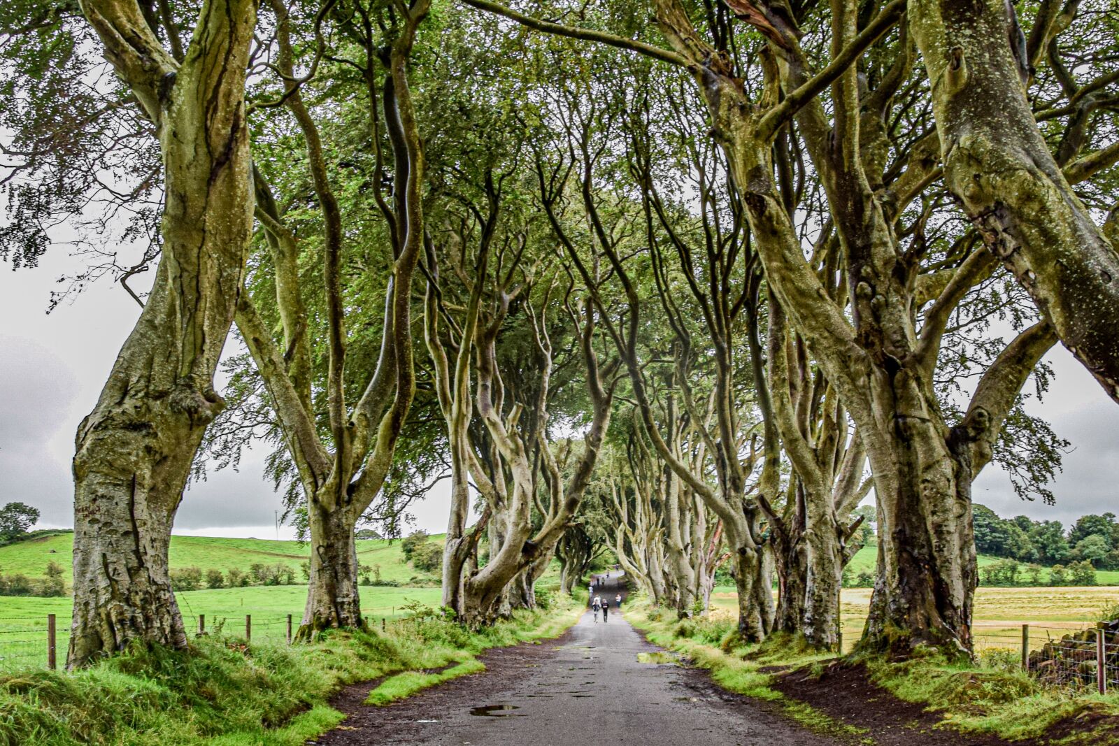 Nikon D5300 sample photo. Ireland, game of thrones photography