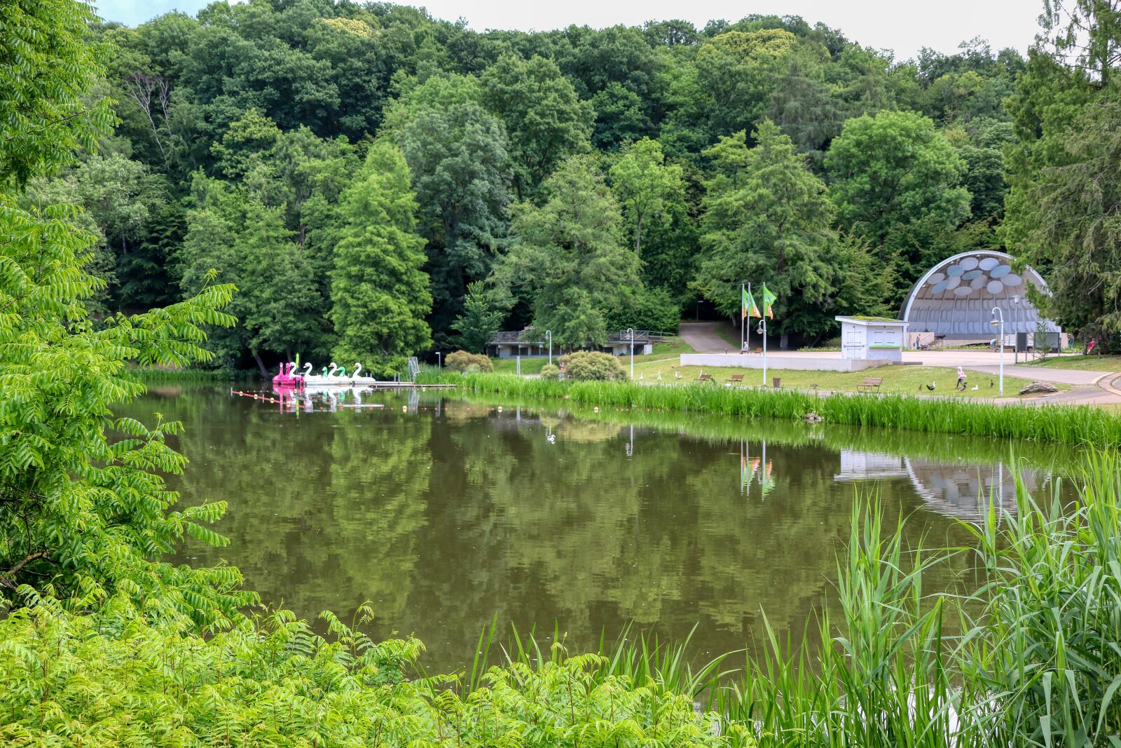 Canon EOS 80D sample photo. Dfg, saarland, park photography