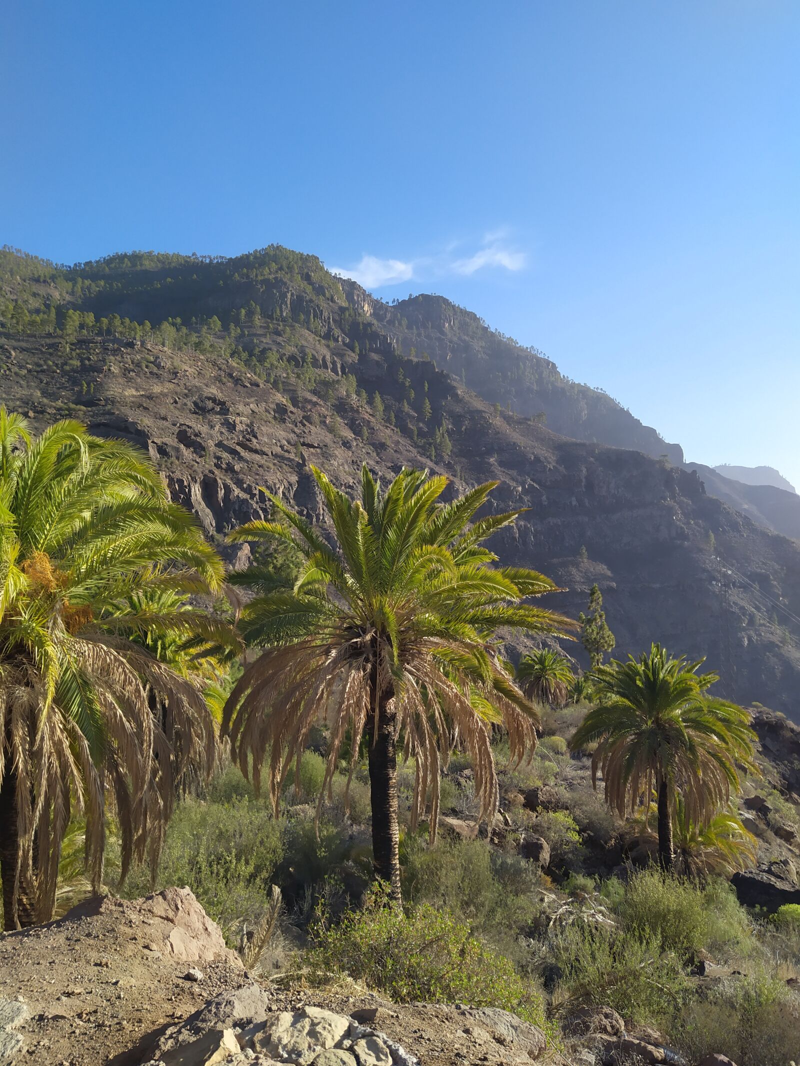 Xiaomi Redmi Note 7 sample photo. Travel, mountains, landscape photography