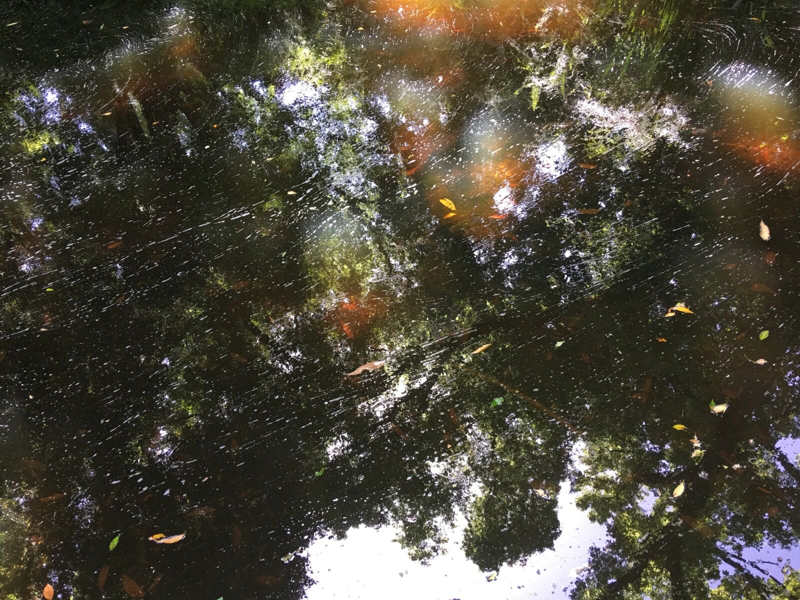 iPhone 6s Plus back camera 4.15mm f/2.2 sample photo. Australia, melbourne, water photography