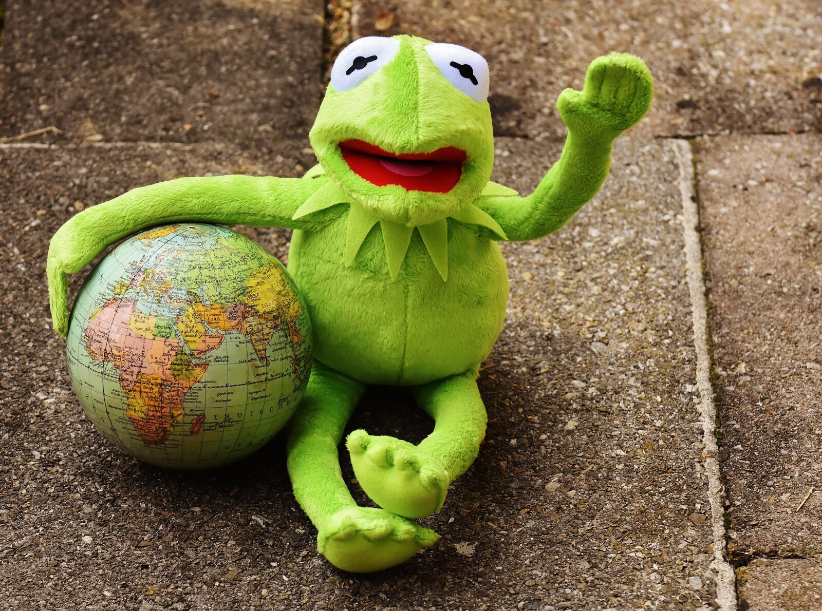 Nikon D7200 sample photo. Kermit, holiday greetings, soft photography