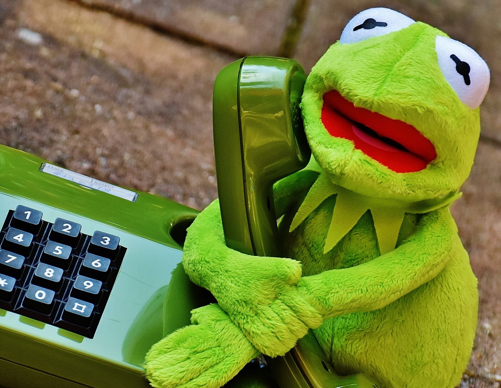 Nikon D7200 sample photo. Kermit, frog, phone photography