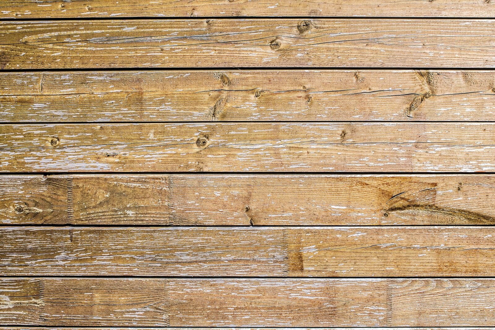 Canon EOS 1100D (EOS Rebel T3 / EOS Kiss X50) sample photo. Background, texture, detail photography