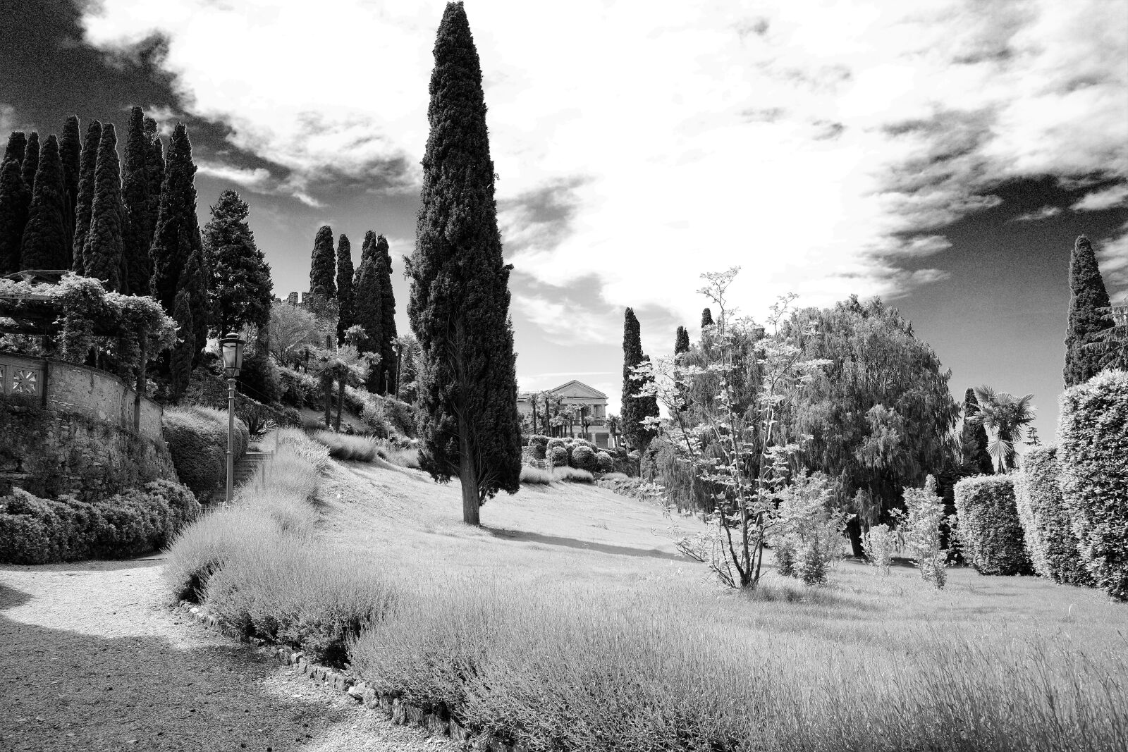 Ricoh GR III sample photo. Sirmione, italy, garda photography