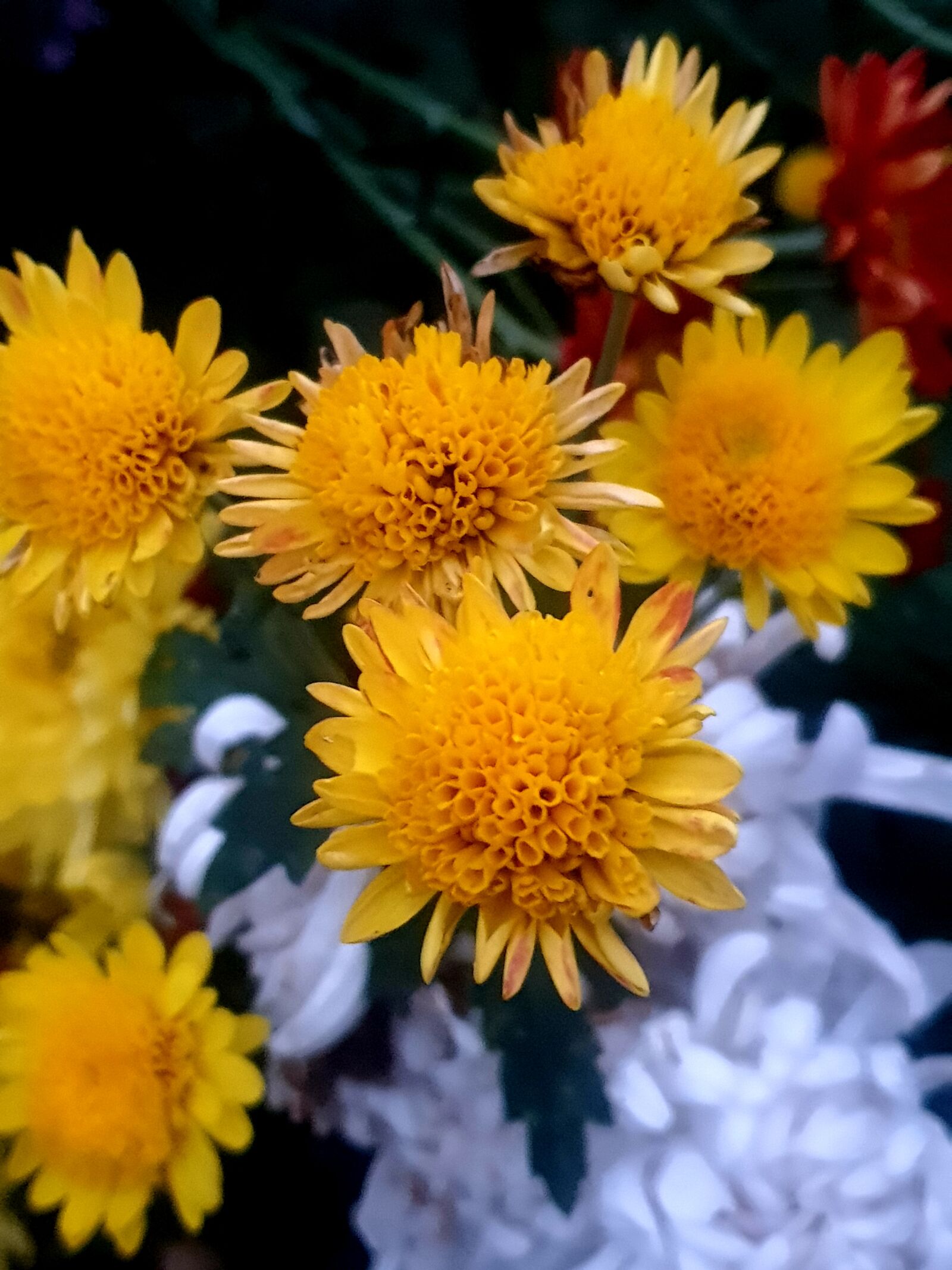 Samsung SM-N960F sample photo