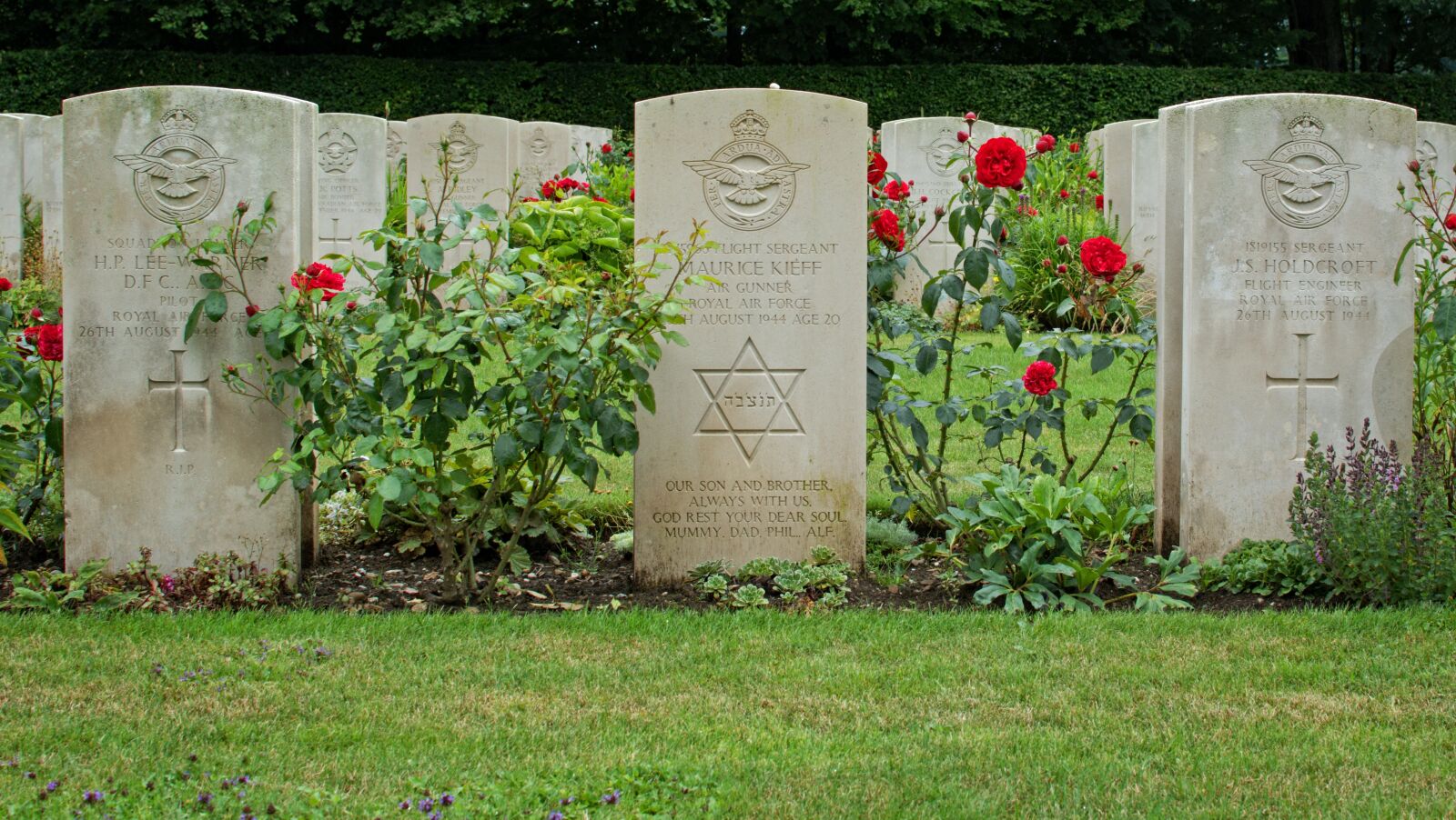 Nikon D7100 sample photo. War, world war, memorial photography